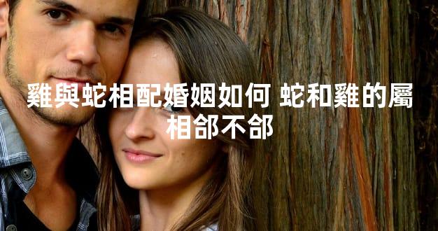 雞與蛇相配婚姻如何 蛇和雞的屬相郃不郃